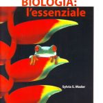 Biologia: l'essenziale