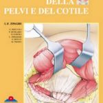 Le fratture della pelvi e del cotile