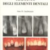 Reimpianto e trapianto degli elementi dentali - immagine 2