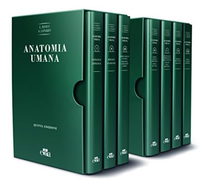 Trattato di anatomia umana