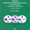 PRINCIPI D'IDENTIFICAZIONE MORFOLOGICA IN CITOLOGIA NEL CANE E NEL GATTO - immagine 2