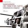 Radiografia del cane e del gatto - immagine 2