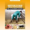 Gestione di base delle patologie nell'allevamento bovino - immagine 2