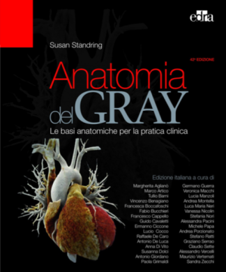 Anatomia del GRAY