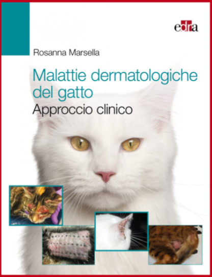 Malattie dermatologiche del gatto