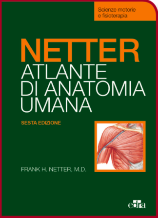 NETTER ATLANTE DI ANATOMIA UMANA Scienze Motorie e Fisioterapia