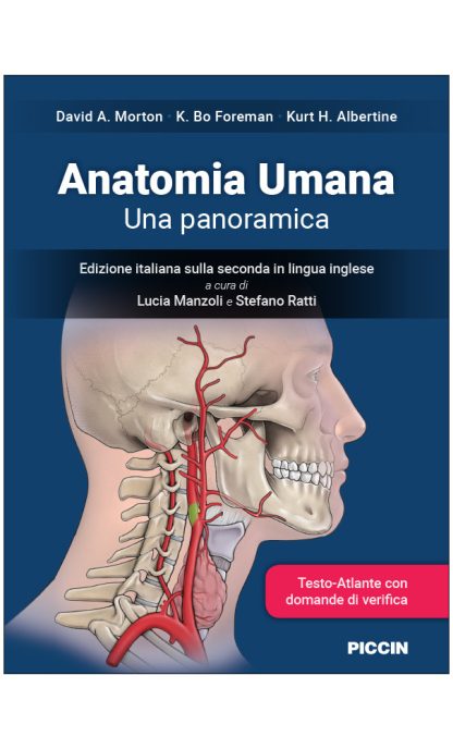 Anatomia Umana