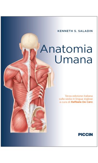 Anatomia umana