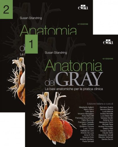 Anatomia del GRAY