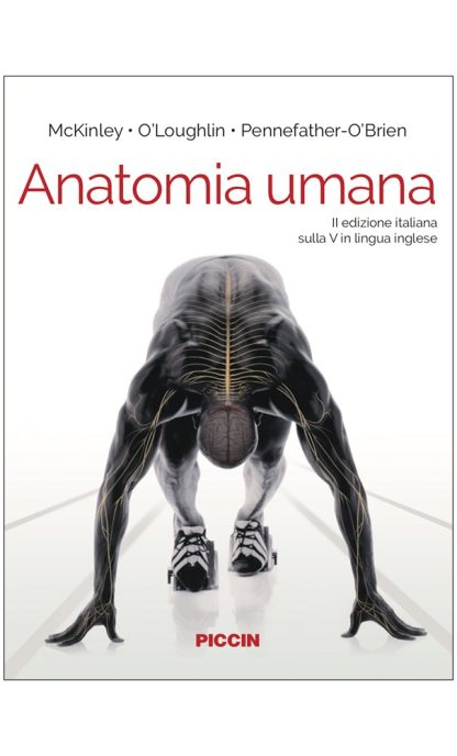 Anatomia umana