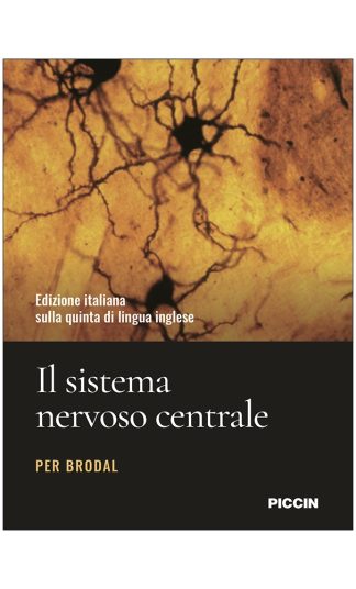 Il sistema nervoso centrale